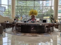 -Plush大堂酒廊(北京金融街威斯汀大酒店)