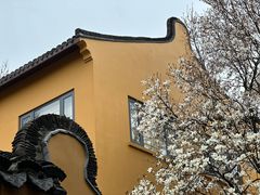 -龙华素斋(龙华路店)