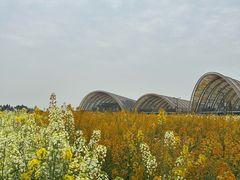 -中国天府农业博览园