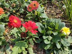 -人民公园(罗湖区)