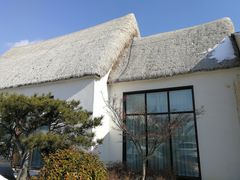 -烟墩角天鹅湖