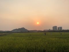 -光明小镇欢乐田园