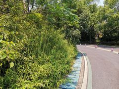 -宝界山林公园