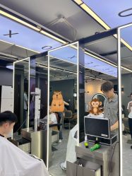 -藤野造型烫发染发