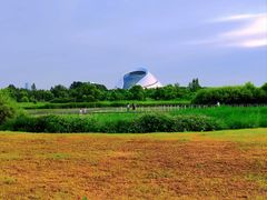 -哈尔滨大剧院