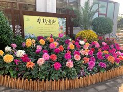 -陶然亭公园