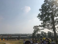 -迪茵湖田家舍生态农场