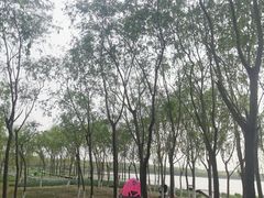 -西青郊野公园
