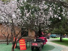 -尚庄度假村·庭台树下·户外烧烤·团建CS·轰趴营地(上庄水库店)