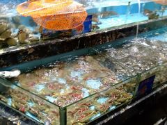 -顺风山庄(水濂山店)