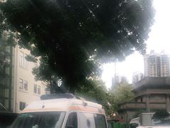 -悦检(中山大学孙逸仙纪念医院体检中心)