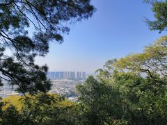 -云洞岩风景区