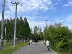 -嘉北郊野公园