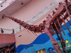 -陕西自然博物馆