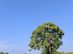 -良渚古城遗址公园