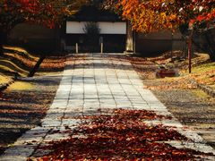 -醍醐寺