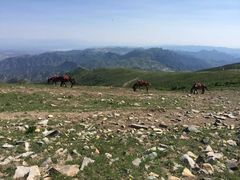 -灵山