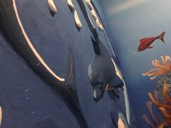 -水晶之星洗浴温泉汗蒸