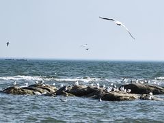-老虎石海上公园