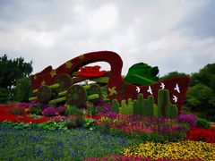 -莲花池公园