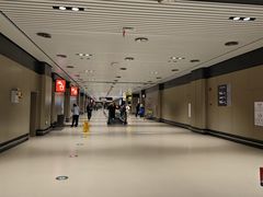 -哈尔滨太平国际机场-T2航站楼