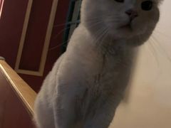 -BIGHOUSE·大房子电影主题融合餐厅(盐河巷店)