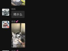 -初心动物医院
