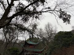 -岳麓山风景名胜区