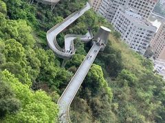 -福道