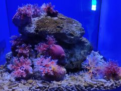 -青岛海底世界-水族馆