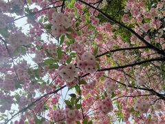 -洛阳市隋唐城遗址植物园