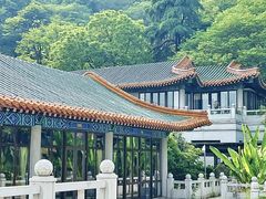 -临江·阅炉