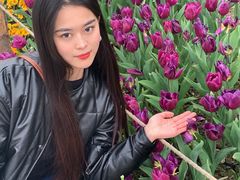 -秀丽东方