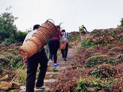 -缥缈峰景区