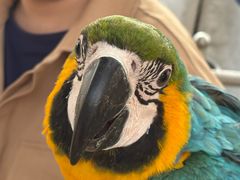 -鄂尔多斯野生动物园