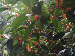 -乡党臊子面(丰庆公园店)