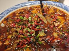 -新概念来凤鱼(璧山店)