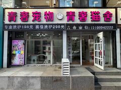 -青奢宠物·青奢猫舍