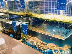 水产区-味莊·青岛菜(云霄路店)