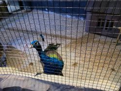 -酷嗒动物文化乐园(cutezoo西溪乐天城店)