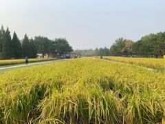 -北坞公园
