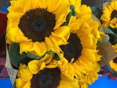 -嘉华鲜花饼·现烤(昆明老街店)