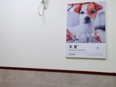 -艾贝尔宠物医院·狂犬免疫点(江山金象城店)