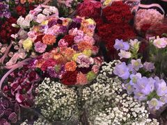 -宝鸡东道花鸟鱼虫市场(吉利花园商场店)