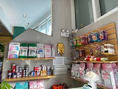 -飞行喵MR PILOT|猫舍·猫咖(静安大融城店)