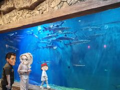 -华夏文旅海洋公园