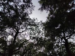 -天坛公园