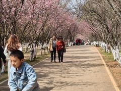 -昆明动物园