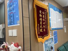 -米苏动物医院·犬猫专科·骨科外科内窥镜