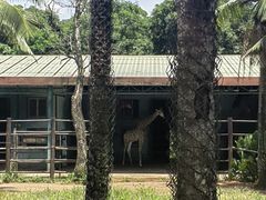 -海南热带野生动植物园